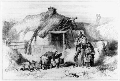 Bog-Trotters Cabin, from 